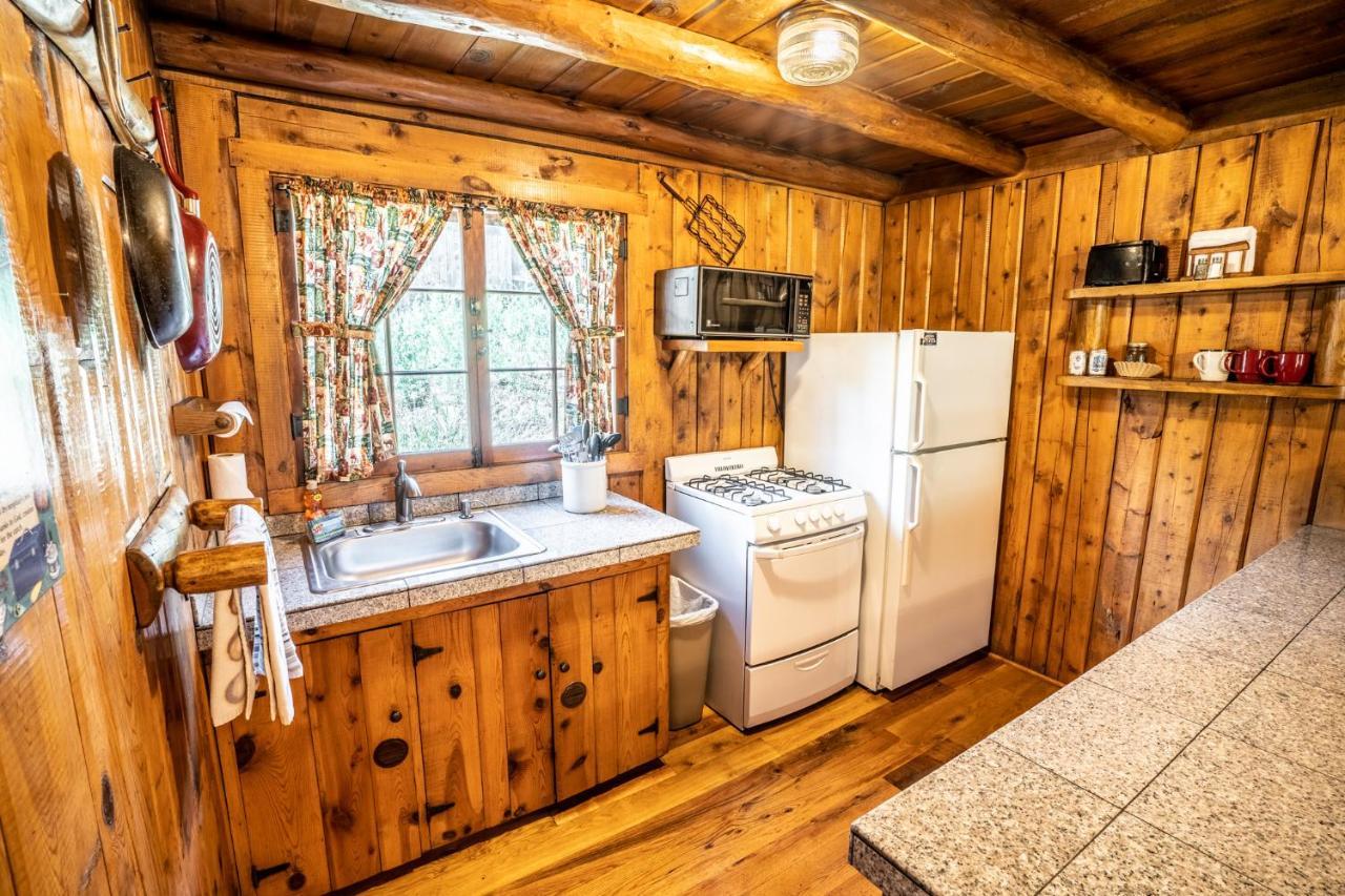 Colorado Bear Creek Cabins Evergreen Exteriör bild