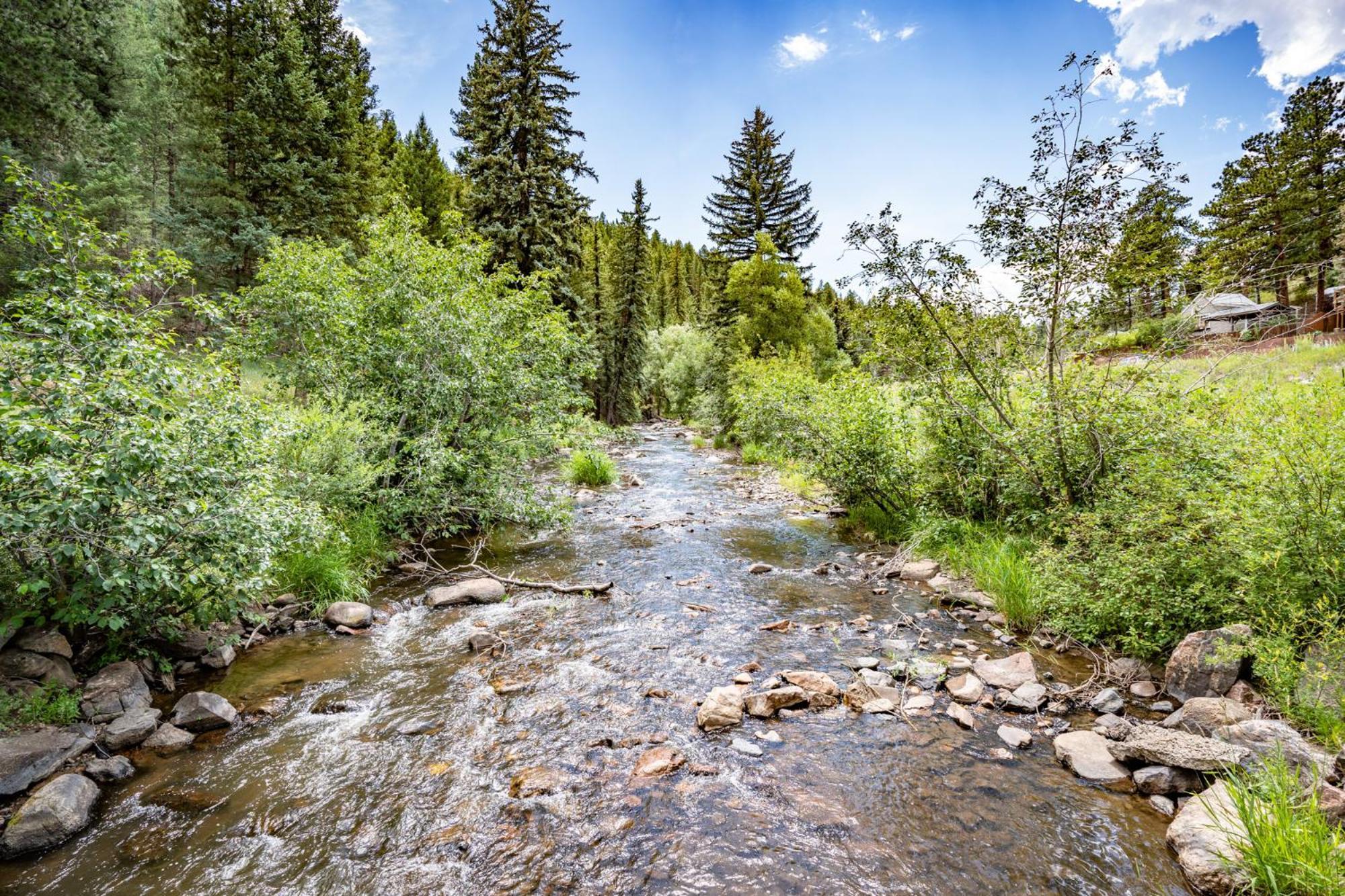 Colorado Bear Creek Cabins Evergreen Rum bild